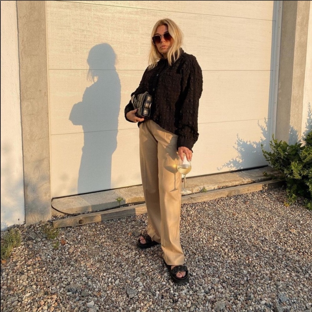 Zara Pleated Wide Leg Pants - Picture 5 of 16